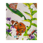 کتاب طبيعت-پروانه ها صبور هستند اثر دايانا هاتس استون ترجمه سيده سودابه احمدي نشر مهرسا