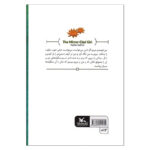 کتاب دختر آیینه پوش اثر فریبا کلهر انتشارات کانون پرورش فکری کودکان و نوجوانان - Image 2