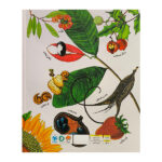 کتاب طبيعت-دانه ها خواب آلود هستند اثر دايانا هاتس استون ترجمه سيده سودابه احمدي نشر مهرسا - Image 2